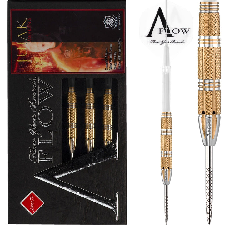 Dynasty Darts - Black Line - Steel Tip - Park Hyunchul - Jujak-Awakens - 21g